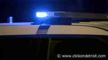 7 police departments help arrest man who took girlfriend’s child after argument in Lincoln Park - WDIV ClickOnDetroit