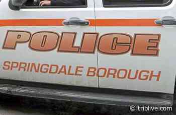 Police: Pair face felony charge for stabbing each other with fork during dispute - TribLIVE