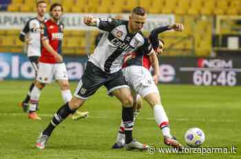 Cds: "Pisa, ancora viva la pista Kurtic" - Forza Parma