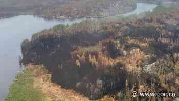Northeastern Alberta wildfire grows to 45,000 hectares