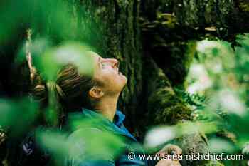 Is forest bathing threatened in Squamish? - Squamish Chief