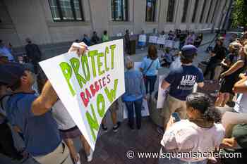 Indiana Republicans propose banning abortion with exceptions - Squamish Chief