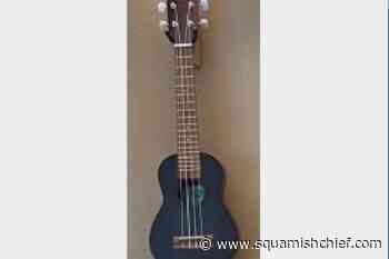 Have you seen these musical instruments? - Squamish Chief