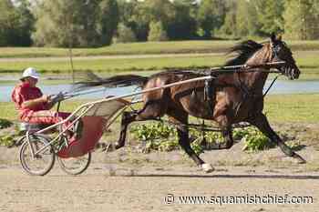 Co-owner Grant not messing with Bulldog Hanover's winning formula - Squamish Chief