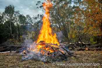 Are there any fire bans for Squamish? - Squamish Chief