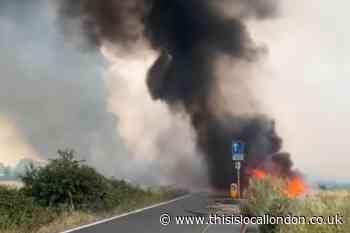 Ray Lamb Way Erith: Grassland on fire on hottest UK day