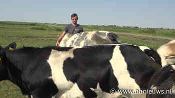 Eemnes: de boerenrepubliek in 't Gooi, maar wat blijft daarvan over? - NH Nieuws