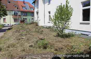 Bachlauf in Schulstraße freigeräumt - Schwetzinger Zeitung