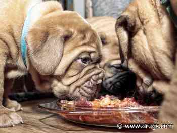 Raw Meat Diet May Have a Downside for Dogs