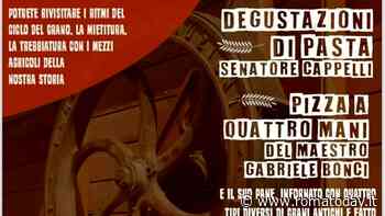 Festa del Grano Antico a La Mistica