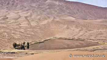 A Tool for Fighting Superbugs Has Been Found Deep in the Desert