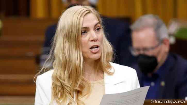 Canadian gymnasts ask sport minister to suspend government funding to their sport