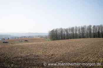 Mord an 13-Jährigem in Sinsheim: Revision verworfen - Mannheimer Morgen