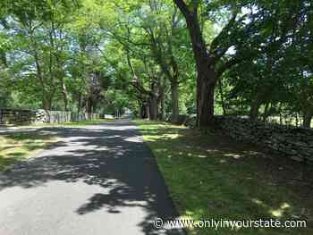 There’s An Aquarium Right Next To A State Park In Rhode Island, Making For A Fun-Filled Family Outing - Only In Your State