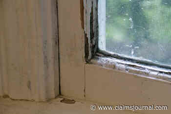 Rhode Island Sues 5 Landlords over Alleged Lead Hazards - Claims Journal