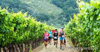 About Town: Alma Rosa Winery hosting fundraising walk for mental health awareness Saturday - Lompoc Record