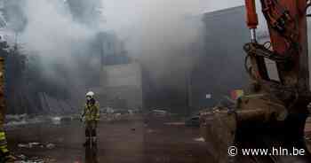 Gemeente Laarne zet juridische stappen tegen vliegenplaag van afvalverwerkend bedrijf - Het Laatste Nieuws