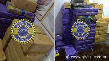 ​Cotia: GCM prende dupla com mais de 1.250 quilos de maconha armazenada em lava-rápido - Giro S/A