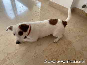 Lorraine DeRosa - Verywell Health