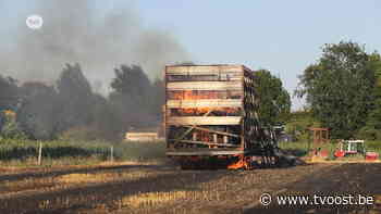 Aanhangwagen met stro vat vuur op kurkdroog veld in Sint-Gillis-Waas - TV Oost