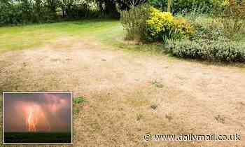 How thunderstorms could REVERSE the damage on your garden from the heatwave