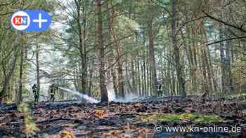 Segeberger Forst: Gefahr für Waldbrand steigt auf zweithöchste Stufe - Kieler Nachrichten