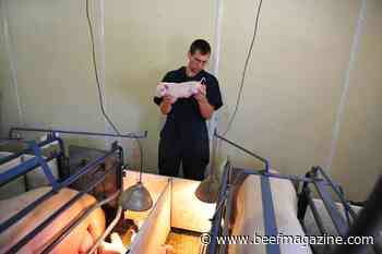 Texas Tech, USDA mentorship offers insight into animal investigations