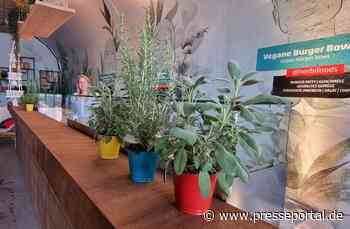 Aus PENNY goes Party wird PENNY.Festivals / Parookaville-Premiere: Green Hangout als veganer Foodplace