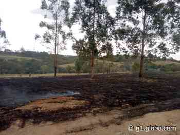 Incêndio destrói 900 metros quadrados de vegetação em Capivari - Globo.com