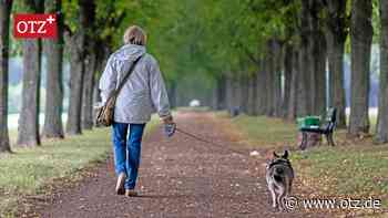St. Gangloff: Viele Fragen offen nach vermeintlichem Tritt in den Bauch
