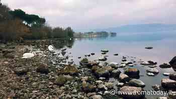 Roma e provincia senza acqua. Cala ancora il lago di Bracciano