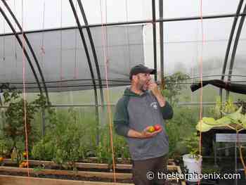 Bridges: Greenhouse 'curator’ Clay Whitney mentors northern gardeners