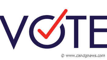 St. Clair Shores residents prepare for Aug. 2 primary - C&G Newspapers