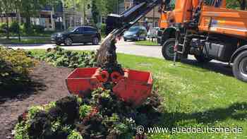 Mitten in Olching - Kuriosum Kreisverkehr - Fürstenfeldbruck - Süddeutsche Zeitung - SZ.de