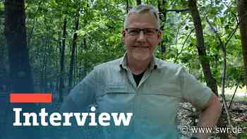 Trockene Wälder in Lampertheim: Wie reagieren Pflanzen und Tiere? - SWR Aktuell