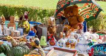 Rommelmarkt aan Vrijetijdshuis De Moer - Het Laatste Nieuws