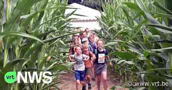 Maïsdoolhof in Peer: "2 kilometer aan gangen met doodlopende stukken" - Vlaamse Radio- en Televisieomroeporganisatie