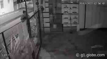 VÍDEO: mulher é flagrada furtando lanchonete em Santana do Ipanema, AL - Globo