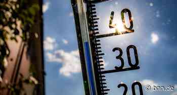 Tierhalter schließt Hunde in Oberkirch bei Hitze im Auto ein - BNN - Badische Neueste Nachrichten