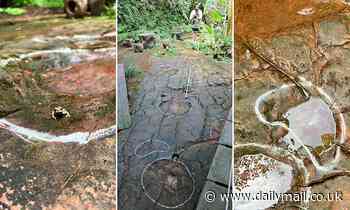 Footprints of the world's largest dinosaur species that lived 100 million years ago found in China