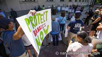 Indiana Republicans propose banning abortion with exceptions - Nanaimo News NOW