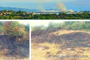 Fears for wildlife after Fens Pool nature reserve fires | Dudley News - Dudley News