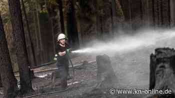 „Nicht Spanien oder Griechenland“: Video zeigt schweren Waldbrand an der A44 bei Kassel