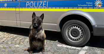 Polizeihund hilft Mann im Wald bei Gablingen - IMSÜDEN