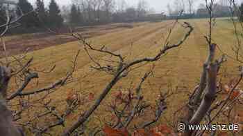 Fast 200 Wohnungen vorgesehen: Mehr Verkehr erwartet: Tornesch kritisiert geplantes Uetersener Wohngebiet - shz.de