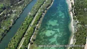 Niedrigwasser in Schwaben wird lebensbedrohlich für Fische