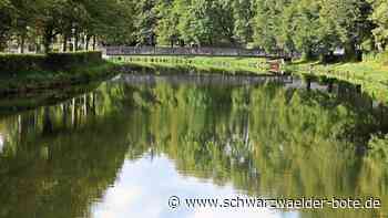 Stadtführung in Nagold - Diesmal steht die Flößerei im Mittelpunkt - Schwarzwälder Bote