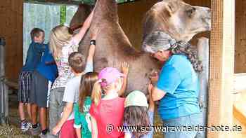 Angebot in Hochdorf - Endlich wieder Ferienprogramm auf Kameldoc’s Tierfarm - Schwarzwälder Bote