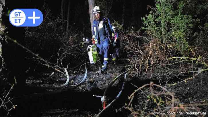 Brand in Einbeck: 50.000 Quadratmeter Wald stehen in Flammen - Göttinger Tageblatt