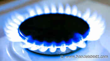 Versicherung: Gasstopp ist für Unternehmen nicht versicherbar